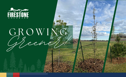 Greener_Spotlight Graphic